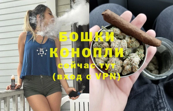 шишки Каменка