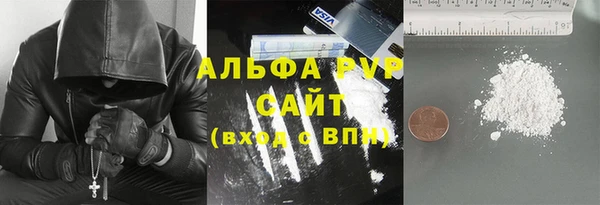 шишки Каменка