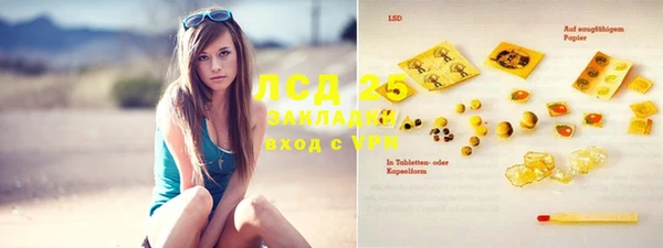 шишки Каменка