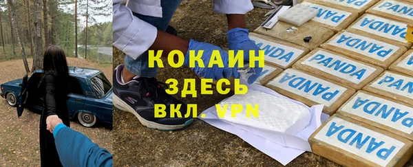 шишки Каменка