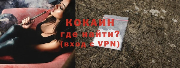 шишки Каменка