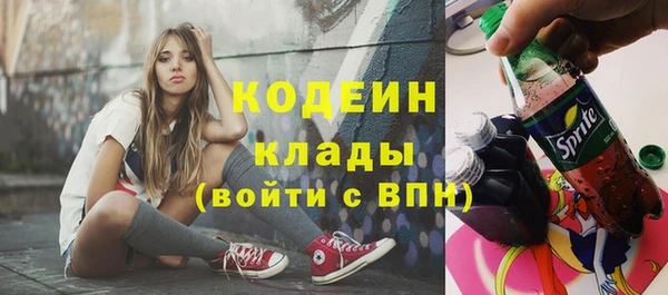 шишки Каменка