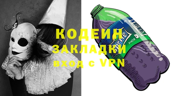 шишки Каменка
