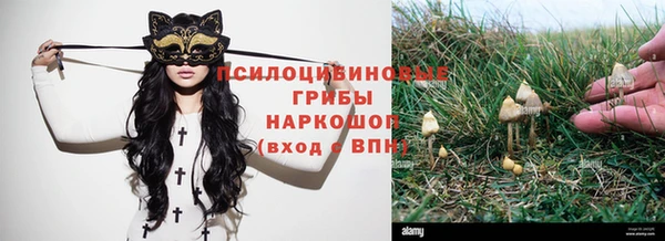 шишки Каменка