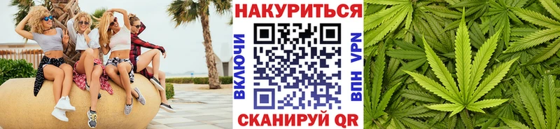 мега ссылки  Змеиногорск  МАРИХУАНА White Widow 